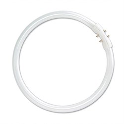 Лампа TL5 CIRCULAR SUPER 80 PRO 60W/ 830 2GX13  d16xD379  PHILIPS  - 871150064259225 - фото 10037