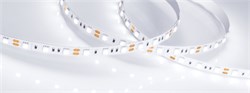 Лента RT 2-5000 12V White5500 2x (5060, 300 LED, LUX) (Arlight, 14.4 Вт/м, IP20) 026778(B) - фото 100519