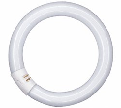 Лампа L 32/ 827 C G10q 307mm 2700K OSRAM - 4008321581129 - фото 10055