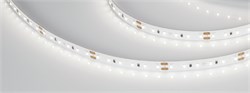 Лента MICROLED-M120-8mm 24V Day5000 (6.5 W/m, IP20, 2216, 5m) (Arlight, Открытый) 024436(2) - фото 101032