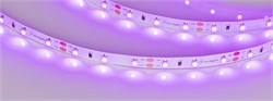 Лента RT-A60-8mm 12V Pink (4.8 W/m, IP20, 2835, 5m) (Arlight, 4.8 Вт/м, IP20) 013571(2) - фото 102271