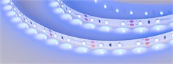 Лента RT-A60-8mm 12V Blue (4.8 W/m, IP20, 2835, 5m) (Arlight, 4.8 Вт/м, IP20) 010523(3) - фото 105303
