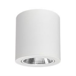 Светильник SP-FOCUS-R140-30W Day White (Arlight, IP20 Металл, 3 года) 021428 - фото 111315