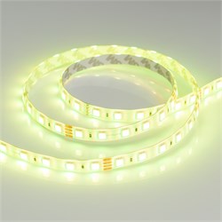 Лента герметичная RTW-SE-B60-10mm 24V RGB (14.4 W/m, IP65, 5060, 5m) (Arlight, -) 014794(2) - фото 112709