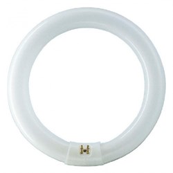 Лампа TL-E 40W/33-640  G10q  PHILIPS  - кольцевая 8711500284549 - фото 12226