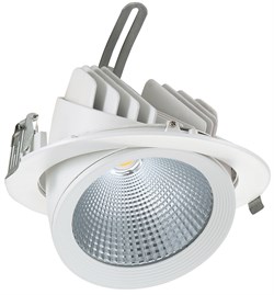 Delius DL-C 30Вт 4000К 30гр D=187мм h=154мм d=172мм 3200Лм (аналог JS014) (встраиваемый поворотный круглый) DL-190304001 - фото 12805