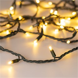 Светодиодная гирлянда ARD-STRING-PRO-1000-GREEN-100LED-PULSE Warm (230V, 7W) (Ardecoled, IP65) 031661 - фото 131712