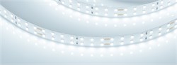 Лента RT-A196-15mm 24V Cool 8K (20 W/m, IP20, 2835, 5m) (Arlight, 20 Вт/м, IP20) 019088(2) - фото 132706