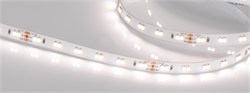 Лента RT 6-5000 24V White-MIX 2x (3528, 120 LED/m, LUX) (Arlight, 9.6 Вт/м, IP20) 025211 - фото 137042