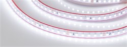 Лента RTW 2-5000PS 24V White6000 2x (3528, 600 LED, LUX) (Arlight, 9.6 Вт/м, IP67) 022321 - фото 141755