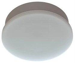 CSVT NOTA-A 14 260х90 CRI80 4000 milky IP65 белый круг для выносного БАП ЦБ-00004082 - фото 152712