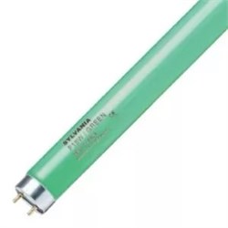 Лампа SYLVANIA F 58W/ GREEN  G13     4000 lm   d26x1500  зеленая   -  цветная 0002570 - фото 16291