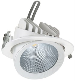 Delius DL-C 30Вт 3000K 30гр D=187мм h=154мм d=172мм 3100Лм (аналог JS014) (встраиваемый поворотный круглый) DL-190303001 - фото 16445