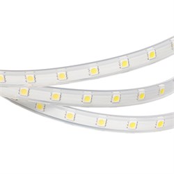 Лента ARL-W5060PG-54-220V Warm 3000K (540 LED, 10m) 2000000244631 - фото 32902