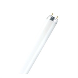 Лампа в пленке в ловушки для насекомых LEDVANCE Attractive UVA 18/20W T8 G13 PRT 589,8мм 15000ч 4058075681873 - фото 36923