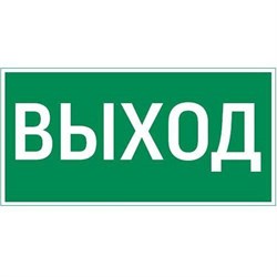 Светильник "Пиктограмма ""ВЫХОД"" для  а Pelastus PL EM 3.0 295х108мм" 356454854548 - фото 41080