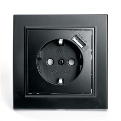 Розетка 1-местная с/з 250В, 16А с защитной шторкой и с USB, серия Эрна, PST16-9011-03, черный 39480 - фото 83620