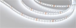 Светодиодная лента NT-A120-8mm 24V White6000 (9.6 W/m, IP20, 3528, 5m) (Arlight, Открытый) 033525 - фото 86713