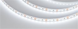 Светодиодная лента NT-A120-8mm 12V White6000 (9.6 W/m, IP20, 3528, 5m) (Arlight, Открытый) 035704 - фото 88534
