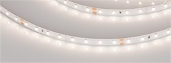 Светодиодная лента RT-A80-8mm 24V Day4000 (6 W/m, IP20, 2835, 50m) (Arlight, высок.эфф.150 лм/Вт) 024524(2) - фото 88679
