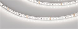 Светодиодная лента RT-A160-8mm 24V Day5000 (12 W/m, IP20, 2835, 5m) (Arlight, высок.эфф.150 лм/Вт) 024536(2) - фото 88718