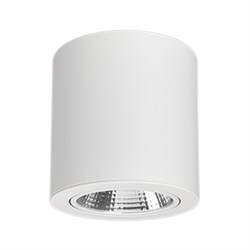 Светильник SP-FOCUS-R140-30W Warm White (Arlight, IP20 Металл, 3 года) 021066 - фото 89202