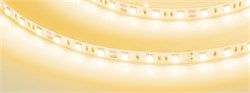 Лента RT-B60-10mm 12V Yellow (14.4 W/m, IP20, 5060, 5m) (Arlight, Открытый) 012342(2) - фото 90031
