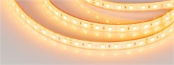 Лента герметичная RTW-PFS-B60-13mm 24V Yellow (14.4 W/m, IP68, 5060, 5m) (Arlight, 14.4 Вт/м, IP68) 036464 - фото 91494