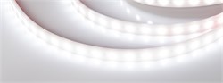 Лента RTW 2-5000PW 12V White6000 2x (5060, 300 LED, LUX) (Arlight, 14.4 Вт/м, IP66) 016169-1 - фото 92426