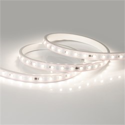 Лента ARL-50000PV-230V Day4000 (5060, 54 LED/m, WP2) (Arlight, 8 Вт/м, IP65) 027057 - фото 95798