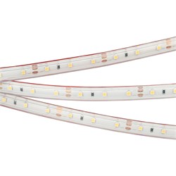 Лента герметичная RTW-PS-A60-10mm 12V Warm2700 (4.8 W/m, IP67, 2835, 5m) (Arlight, 4.8 Вт/м, IP67) 028506(2) - фото 96057