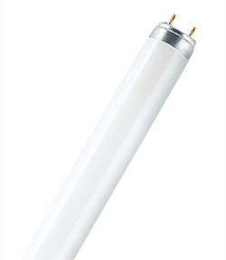 Лампа L  36W / 950  COLOR PROOF  G13  D26mm  1200mm  DIN-STANDART - 4008321423047 - фото 9614