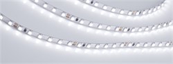 Светодиодная лента RT-A120-5mm 24V White6000 (9.6 W/m, IP20, 2835, 5m) (Arlight, 9.6 Вт/м, IP20) 015651(2) - фото 98452