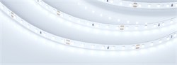 Лента RT 2-5000 24V Cool 8K 1.6x (2835, 490 LED, PRO) (Arlight, 10 Вт/м, IP20) 019912(1) - фото 98650