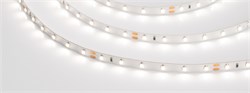 Лента RT 2-5000-50m 24V Day4000 (3528, 60 LED/m, LUX) (Arlight, 4.8 Вт/м, IP20) 024583(1) - фото 99122