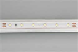 Лента RTW 2-5000PS-50m 24V Day4000 (3528, 60 LED/m, LUX) (Arlight, 4.8 Вт/м, IP67) 024564 - фото 99136