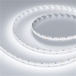 Лента RT-A252-10mm 24V White6000 (11 W/m, IP20, 2835, 5m) (Arlight, 11 Вт/м, IP20) 022648(2) - фото 99601