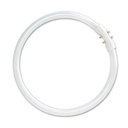 Лампа FC 40/ 840  2GX13 300mm 4000K -   OSRAM 4050300528526