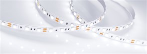 Лента RT 2-5000 12V White5500 2x (5060, 300 LED, LUX) (Arlight, 14.4 Вт/м, IP20) 026778(B)