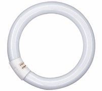 Лампа L 32/ 827 C G10q 307mm 2700K OSRAM - 4008321581129