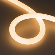 Лента герметичная MOONLIGHT-SIDE-FP-X1088-D25mm 24V Warm2700 (20 W/m, IP65, 5m, wire x1) (Arlight, Вывод боковой, 3 года) 038869