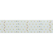 Лента RT 2-2500 24V Day4000 5x2 (2835, 875 LED, CRI98) (Arlight, 36 Вт/м, IP20) 025163