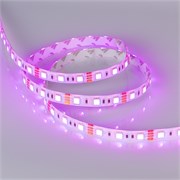 Лента герметичная RTW-SE-B60-10mm 12V RGB (14.4 W/m, IP65, 5060, 5m) (Arlight, -) 014618(2)