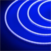 Образец Гибкий неон GALAXY-1206-5000CFS-2835-100 12V Blue 0.5M (12x6mm, 12W, IP67) (Arlight, 12 Вт/м, IP67) 030964