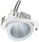 Delius DL-C 30Вт 4000К 30гр D=187мм h=154мм d=172мм 3200Лм (аналог JS014) (встраиваемый поворотный круглый) DL-190304001