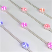 Модуль управляемый SPI-F3-D30 12V RGB-RAM-Auto (0.6W, IP68, 120 deg) (Arlight, Пластик, 3 года) 036831