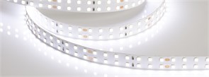 Лента RT 2-5000 24V Day4000 2x2 (2835, 980 LED, CRI98) (Arlight, 20 Вт/м, IP20) 025151