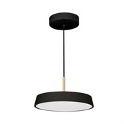 Светильник SP-ELEGANT-R300-17W Warm3000 (BK, 120 deg, 230V) (Arlight, IP20 Металл, 3 года) 033921(1)
