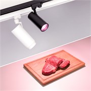 Светильник LGD-GERA-4TR-R74-20W Warm SP2900-Meat (BK, 24 deg, 230V) (Arlight, IP20 Металл, 3 года) 032470