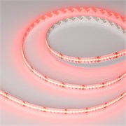 Лента CSP-X840-12mm 24V RGBW-Warm (17.2 W/m, IP20, 5m) (Arlight, 5 лет) 046937